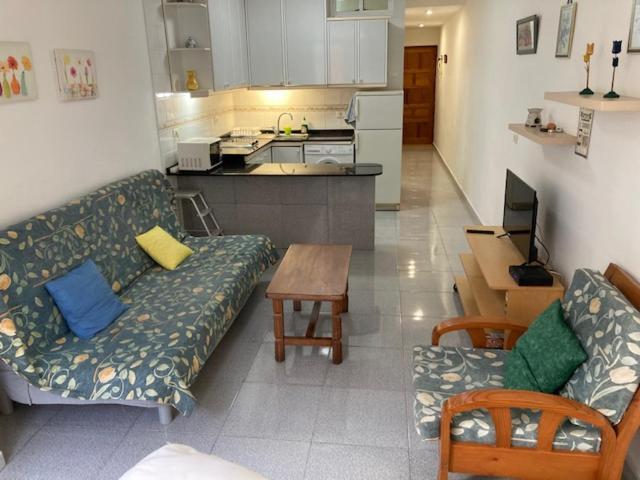 Pena La Vieja Apartment 大加那利岛拉斯帕尔马斯 外观 照片